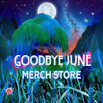 Goodbye June — Magic Valley